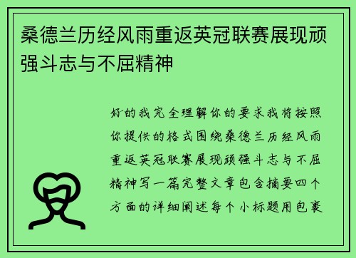 桑德兰历经风雨重返英冠联赛展现顽强斗志与不屈精神